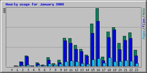 Hourly usage for January 2009